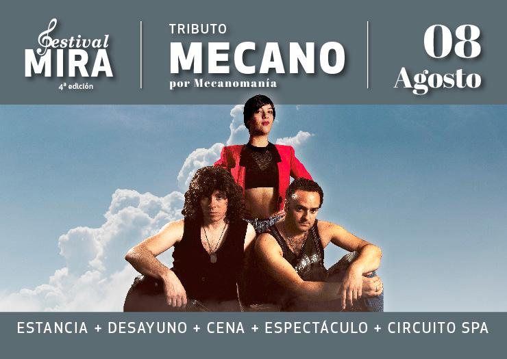 Festival Festival