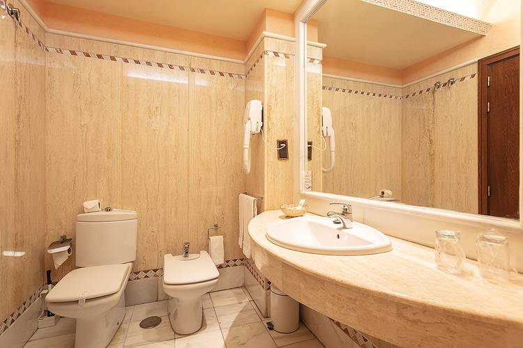Double room for individual use Abades Guadix 4* Hotel Double room for individual use Abades Guadix 4* Hotel
