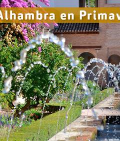 Entdecken Sie den Zauber der Alhambra im Frühling: Ein unvergessliches Erlebnis in Granada Abades Hotels Entdecken Sie den Zauber der Alhambra im Frühling: Ein unvergessliches Erlebnis in Granada Abades Hotels