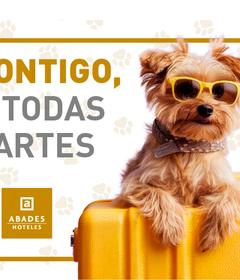 Contigo, a todas partes: Hoteles Pet Friendly de Abades Abades Hoteles Contigo, a todas partes: Hoteles Pet Friendly de Abades Abades Hoteles