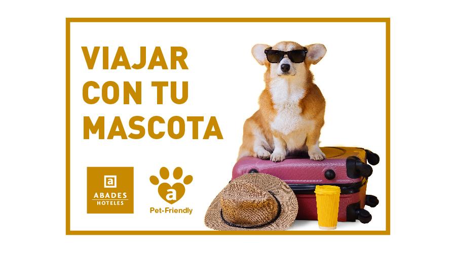 Viajar con tu mascota: consejos y hoteles pet-friendly Abades Hoteles Viajar con tu mascota: consejos y hoteles pet-friendly Abades Hoteles